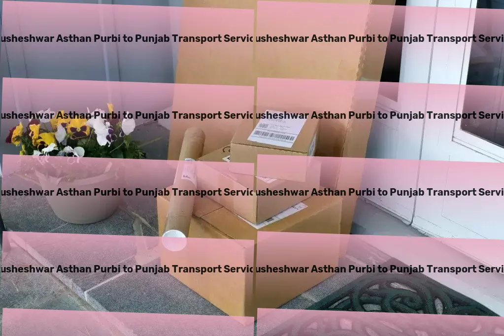 Kusheshwar Asthan Purbi to Punjab Transport Nationwide freight and shipment