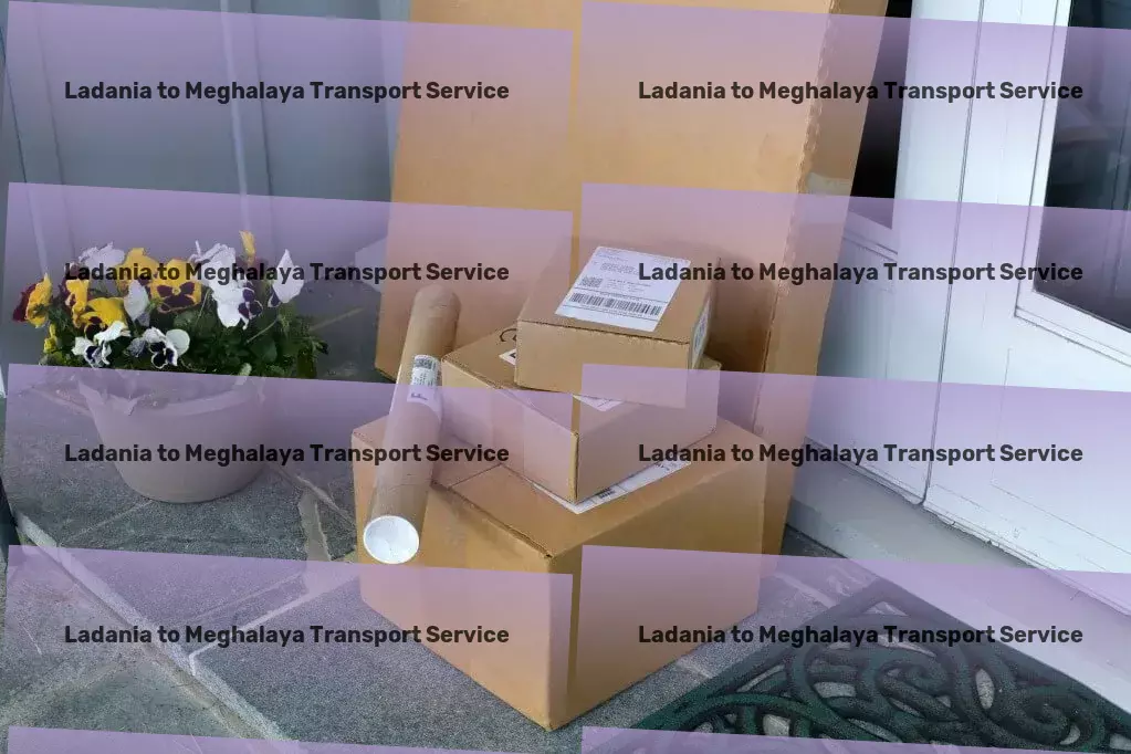 Ladania to Meghalaya Transport Get set for a new era of city commuting excellence! - Customized cargo solutions