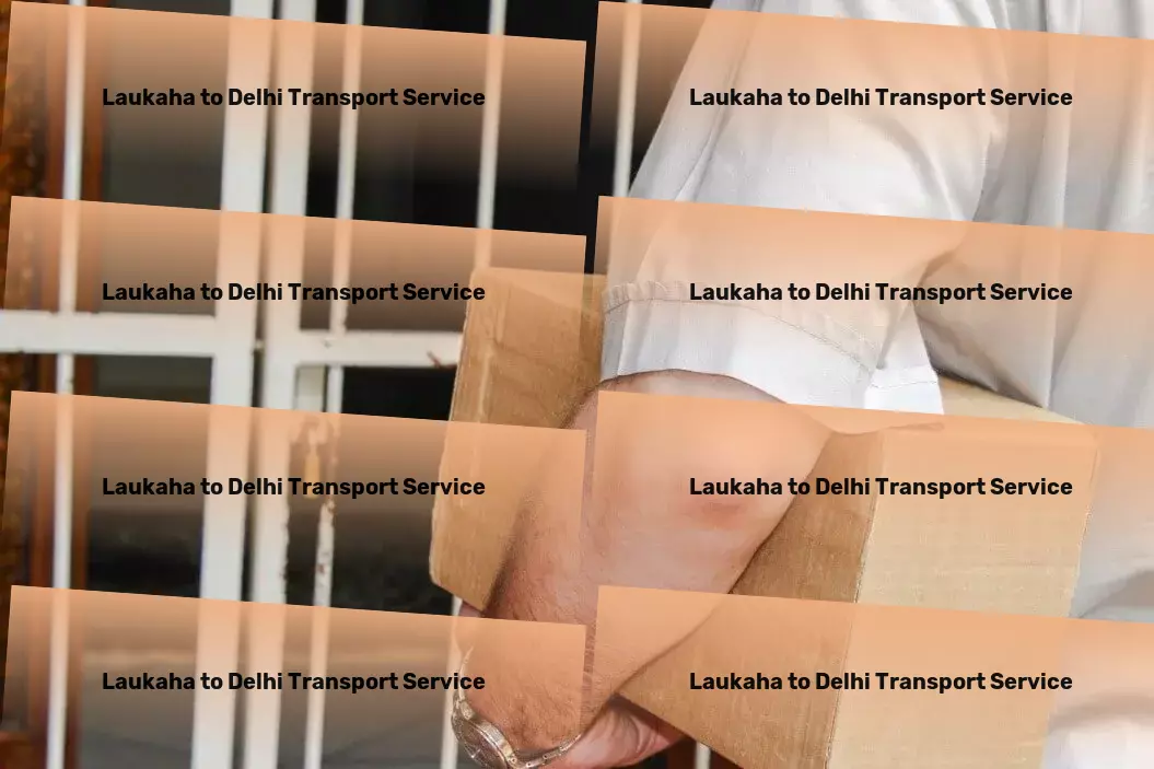 Laukaha to Delhi Transport Urban cargo forwarding