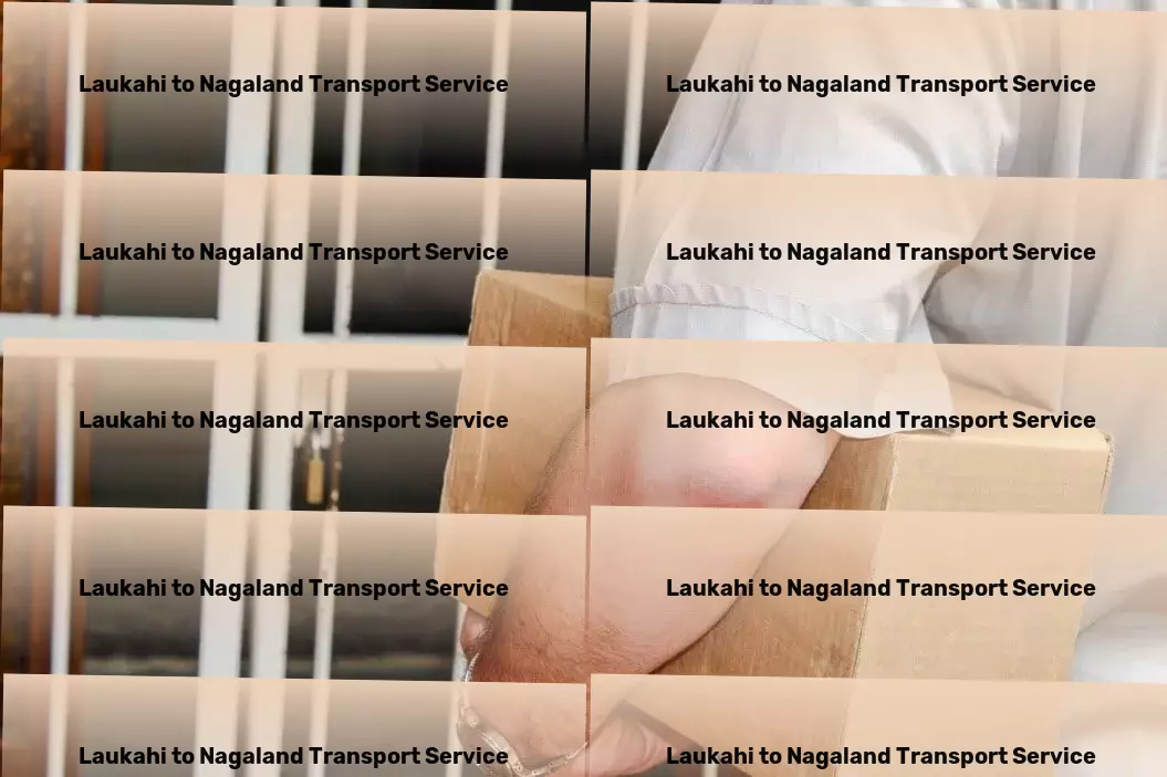 Laukahi to Nagaland Transport Next-level moving services for modern needs. - Domestic freight services