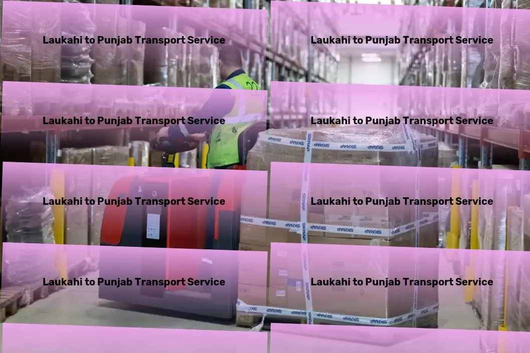 Laukahi to Punjab Transport Inter-state cargo delivery