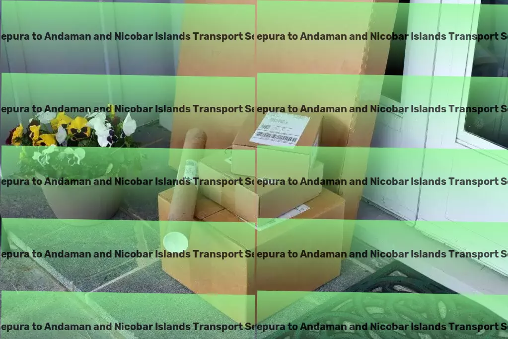 Madhepura to Andaman And Nicobar Islands Transport Express goods shipment solutions