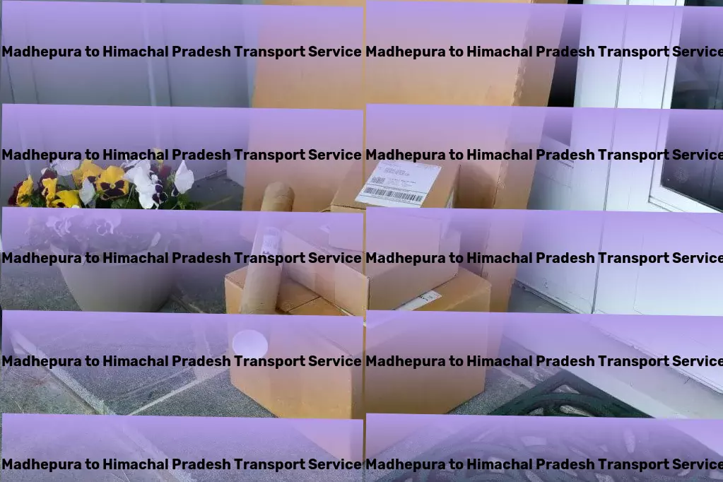 Madhepura to Himachal Pradesh Transport Bringing the joy of reading to your fingertips! - Critical package delivery